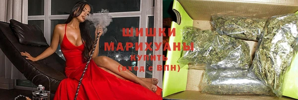 гидра Аркадак