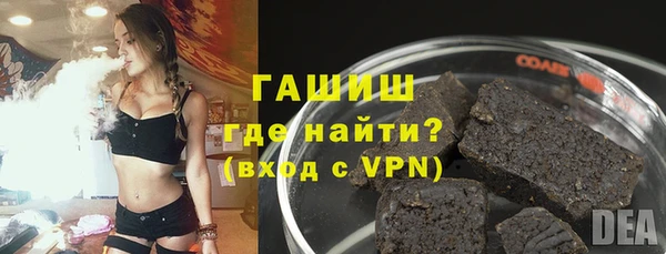 стаф Алзамай