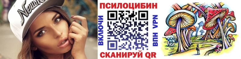 Псилоцибиновые грибы Psilocybe купить наркотики сайты Сольвычегодск